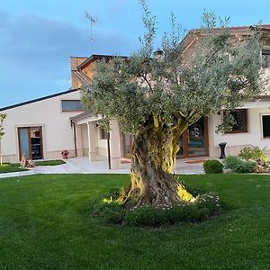 Balneum Rooms & Spa
